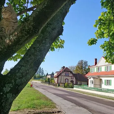 Daniel Owo Gospodarstwo agroturystyczne *